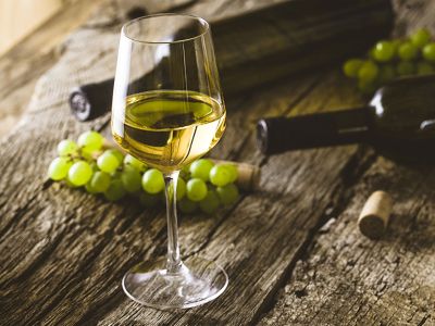 Wein & Champagner Wein & Champagner
