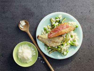 Meerbarbenfilets mit Erbsenrisotto