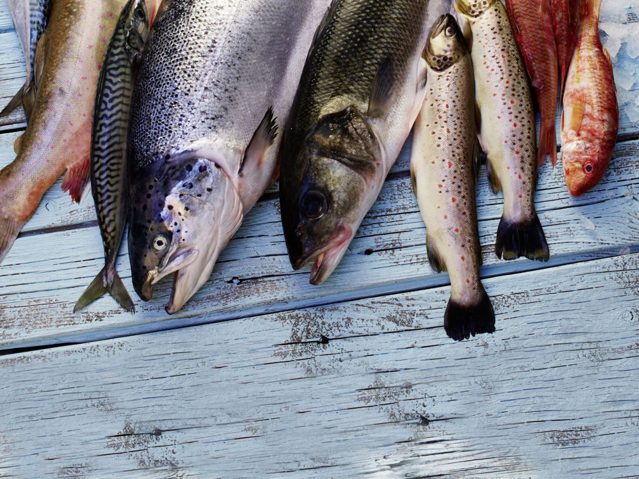 Fische