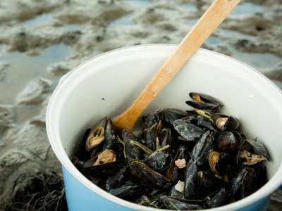 In 15 Minuten: Miesmuscheln à la Provence