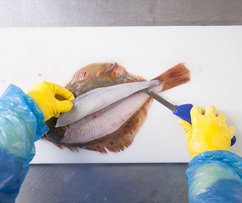 Auslösen des Filets Auslösen des Filets