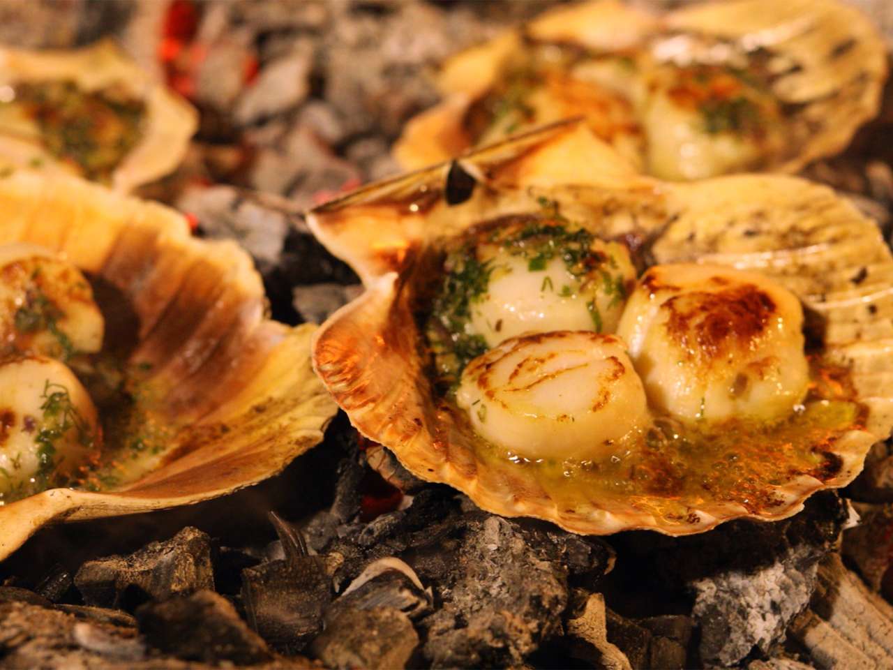 Rezept: Jakobsmuscheln auf Glut Rezept: Jakobsmuscheln auf Glut