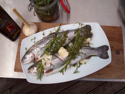 Wie grille ich eine Forelle?
