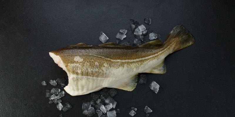 Produkteigenschaften Produkteigenschaften